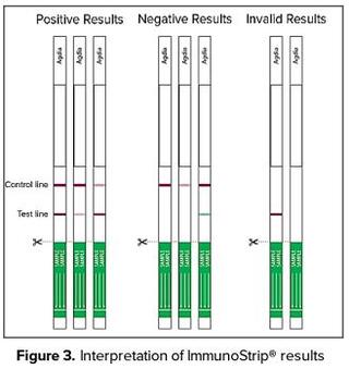 Positive vs negative results interpretation of ImmunoStrips